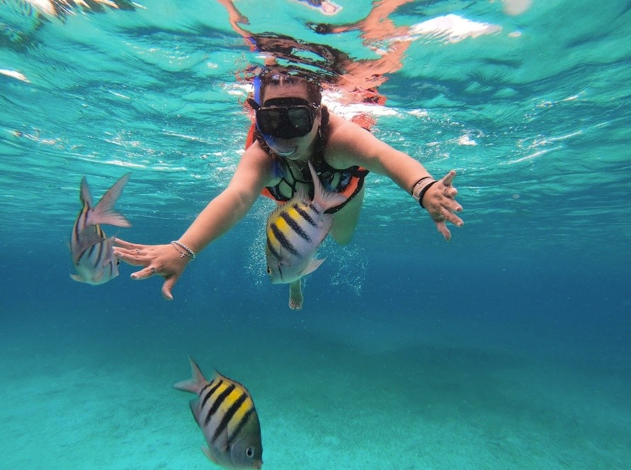 Person snorkeling underwater with colorful fish swimming nearby.