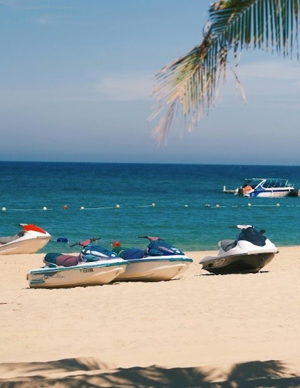 Jet skis on a sandy beach with palm tree and ocean view.