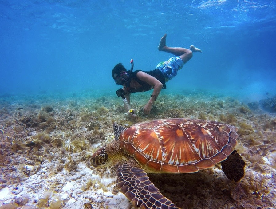 Snorkeler swimming near a sea turtle underwater over a sandy ocean floor.