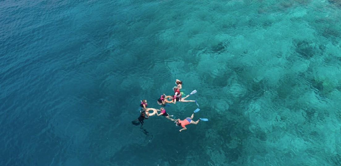 Six people snorkeling in clear blue water above a coral reef.