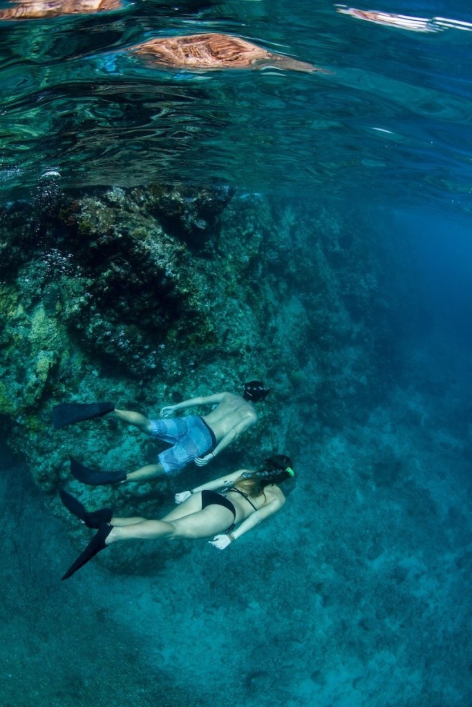 Two snorkelers swimming underwater near coral reef.