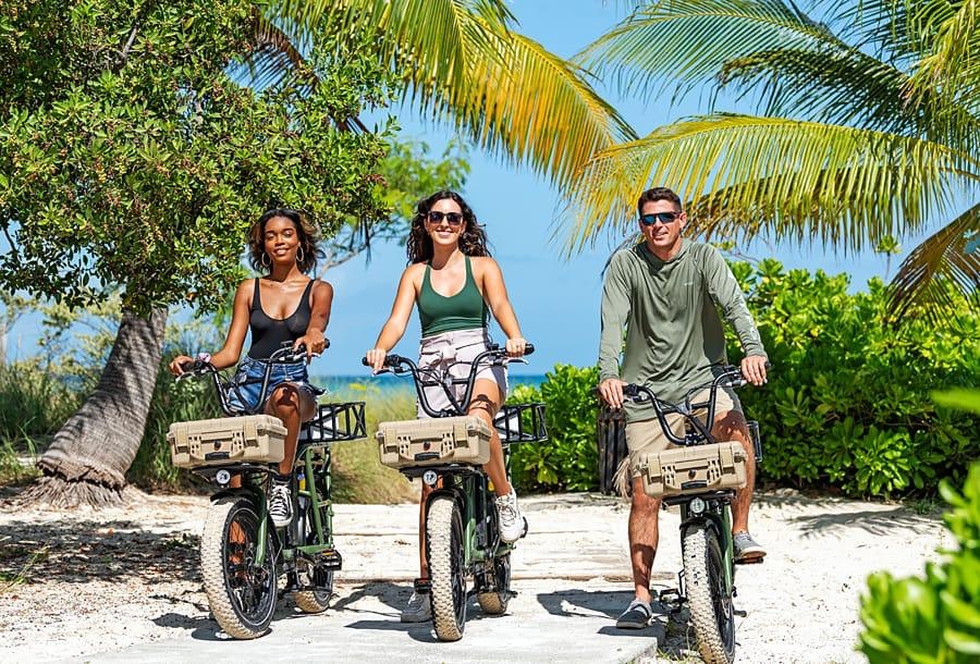 Three people biking on a tropical path with palm trees.