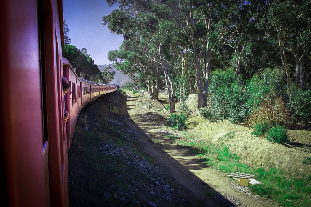 Train turns on tracks through forest, with trees lining both sides.