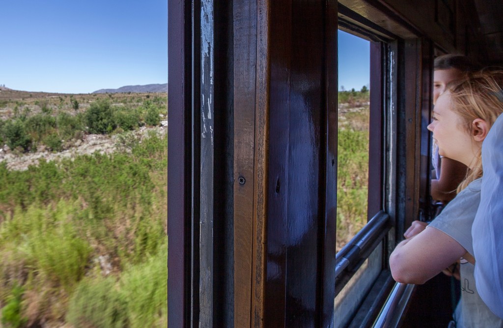 People looking out train window at scenic landscape with shrubs.