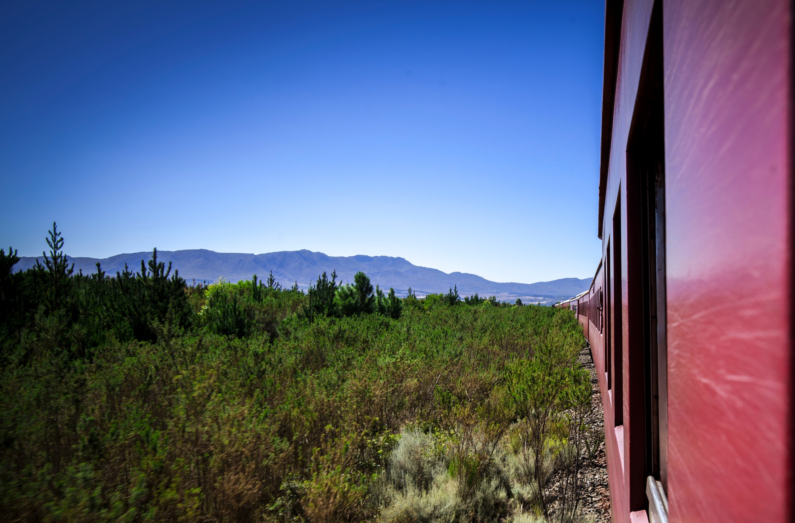 View from red train of green landscape and distant mountains under clear blue sky.