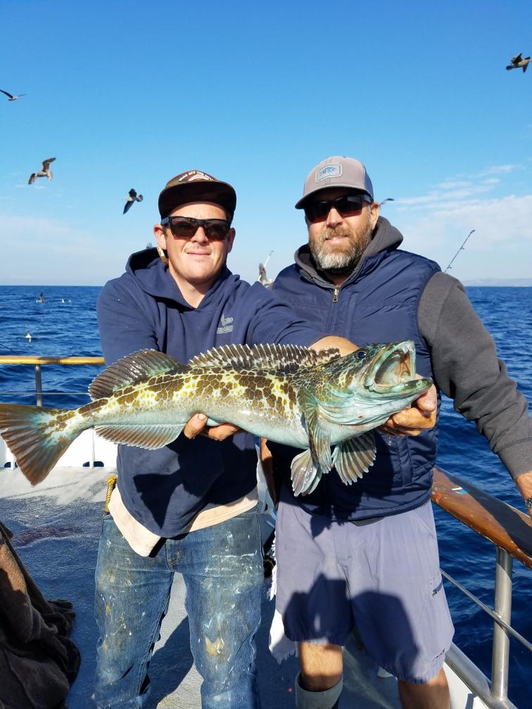 Two people on a boat holding a large fish, with a clear sky and birds in the background.