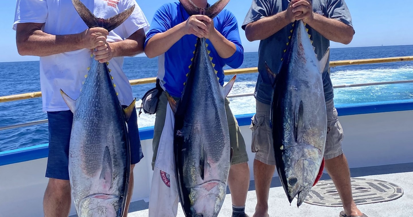 Three people holding large fish on a boat with ocean in the background.
