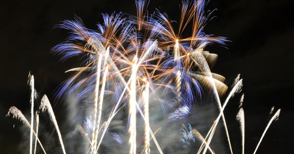 Colorful fireworks exploding against a dark night sky.