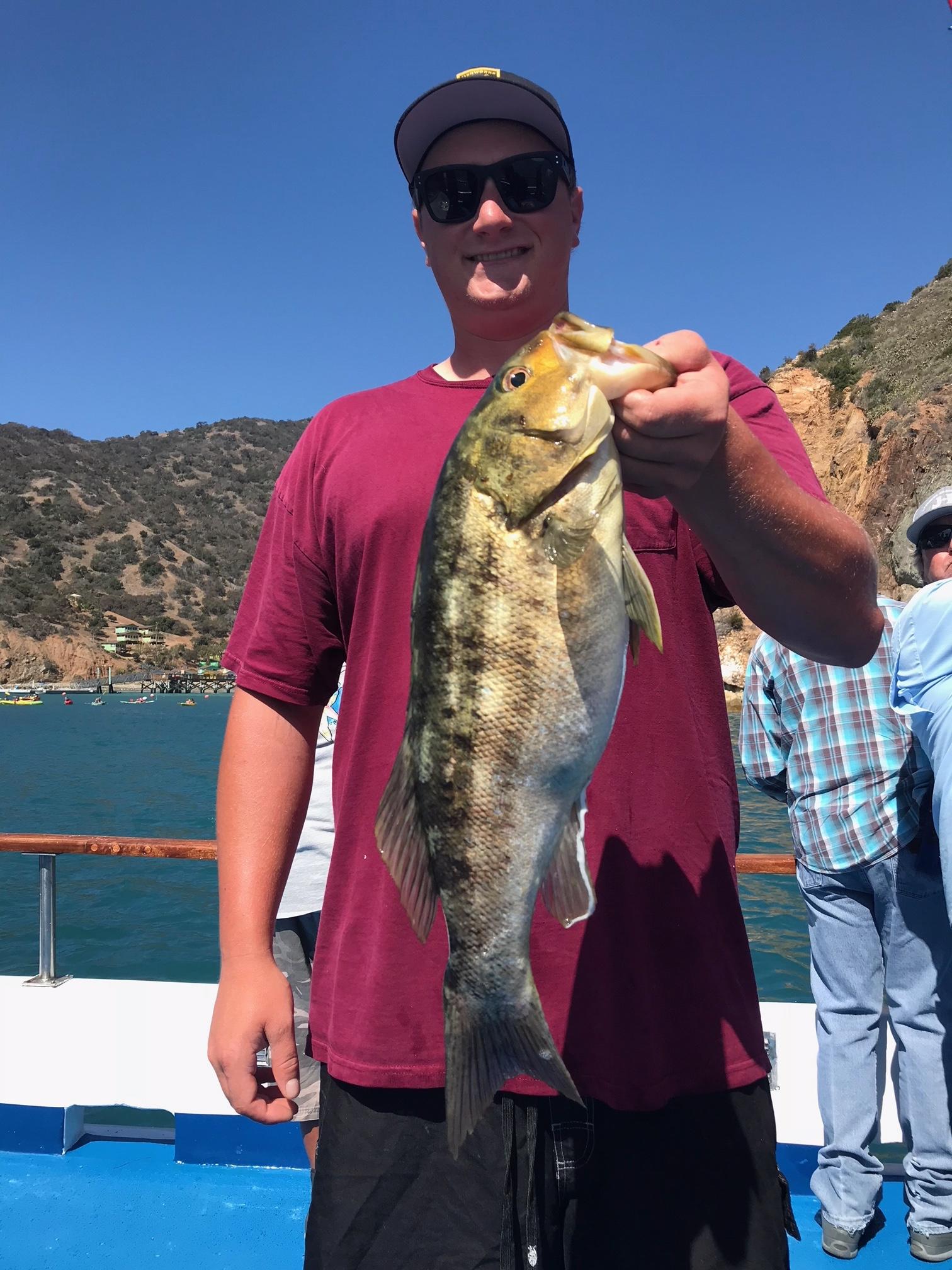 Person on a boat holding a large fish with a scenic coastline in the background.