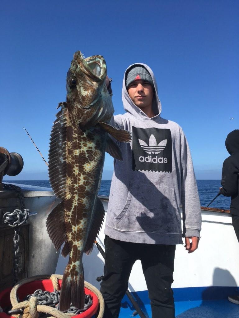 Person on a boat holding a large fish up high, ocean in the background.