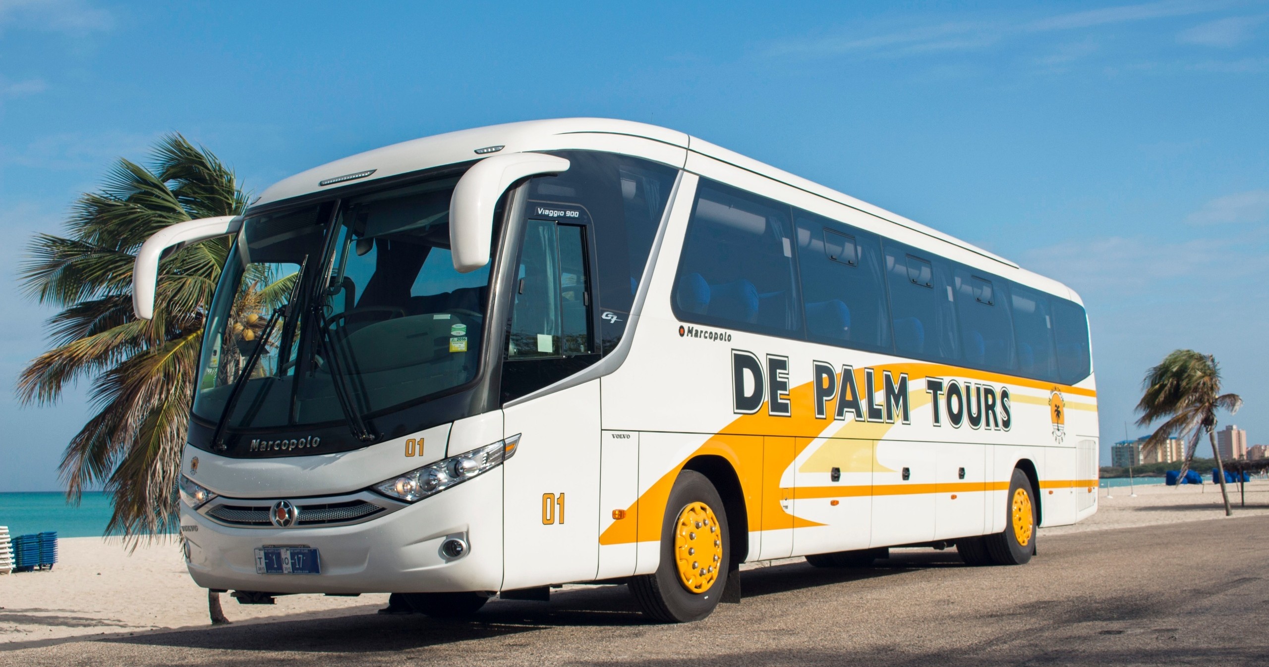 Tour bus parked on a beachside road with palm trees.