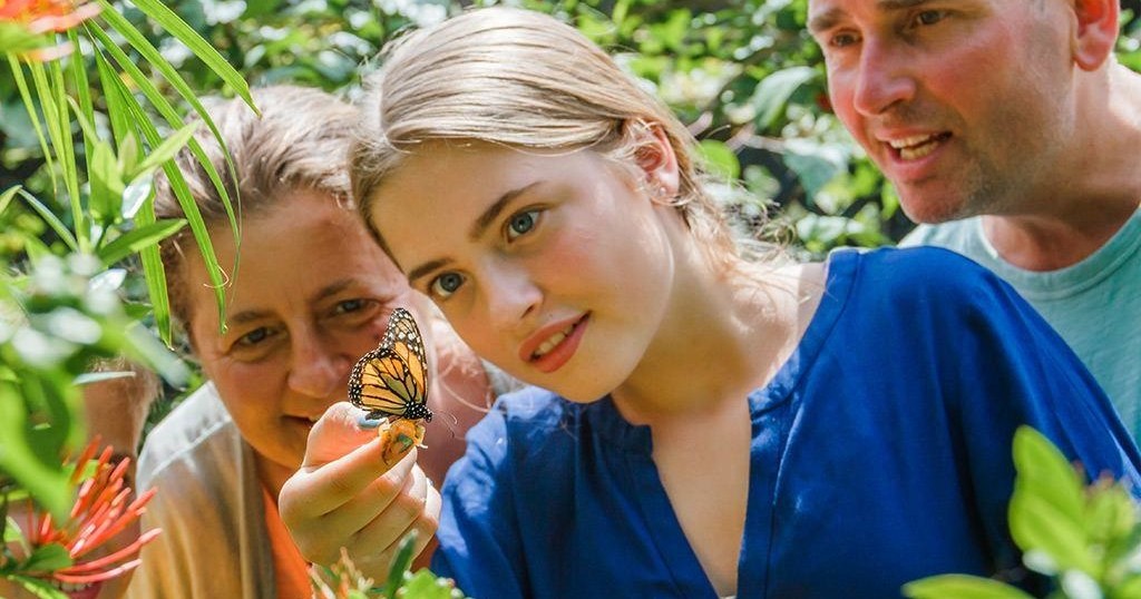 Three people observing a butterfly on a woman's hand among greenery.