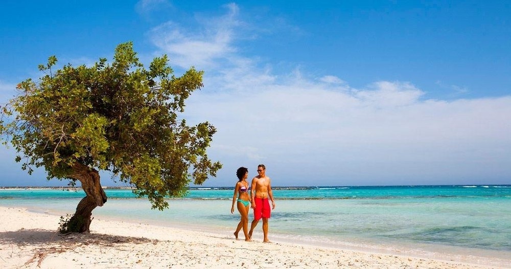 Couple walking on sandy beach near a tree and turquoise sea under a clear blue sky.