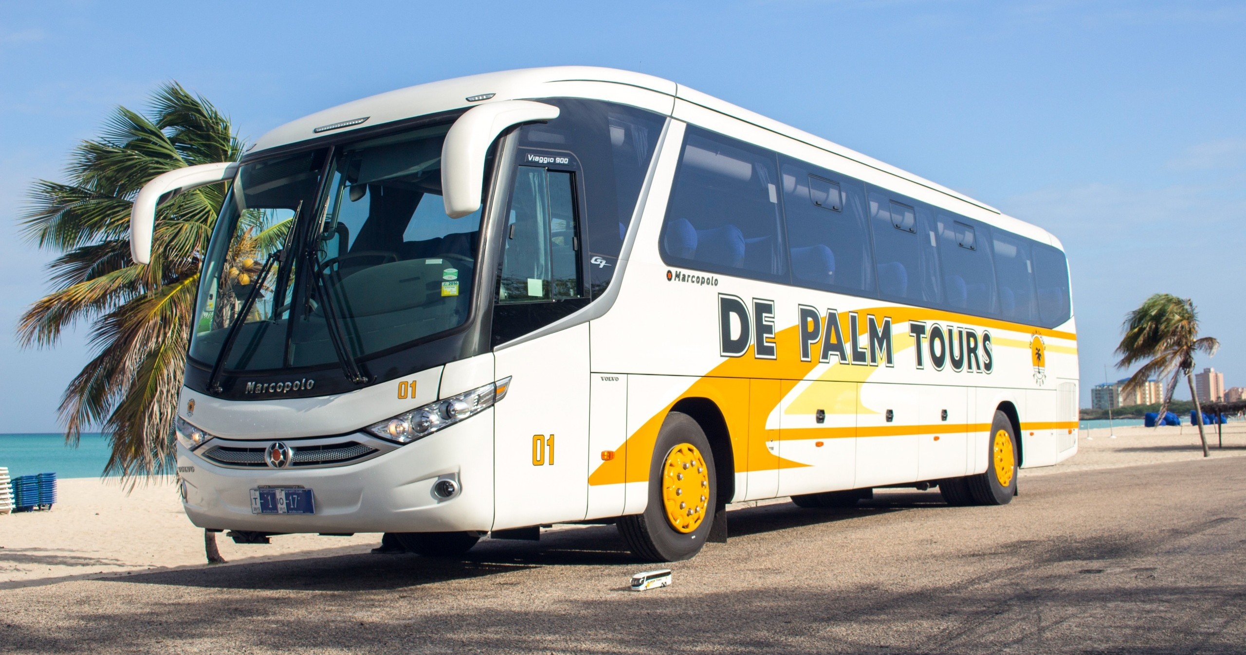 Tour bus parked by a beach with palm trees and blue sky.