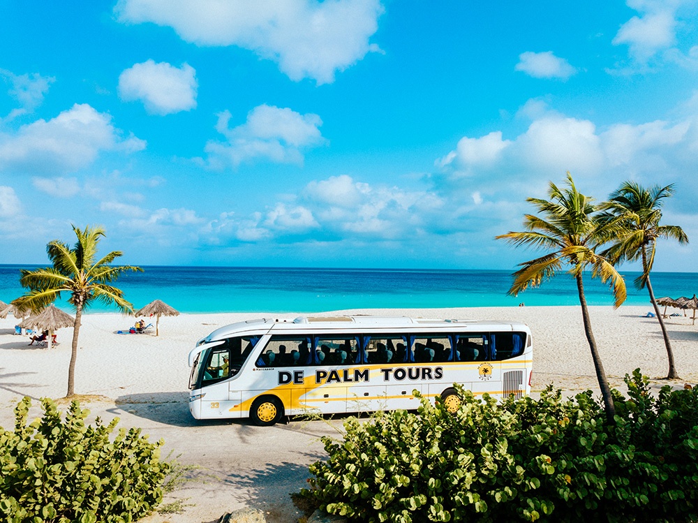 Tour bus parked on a sunny beach with palm trees and blue ocean.