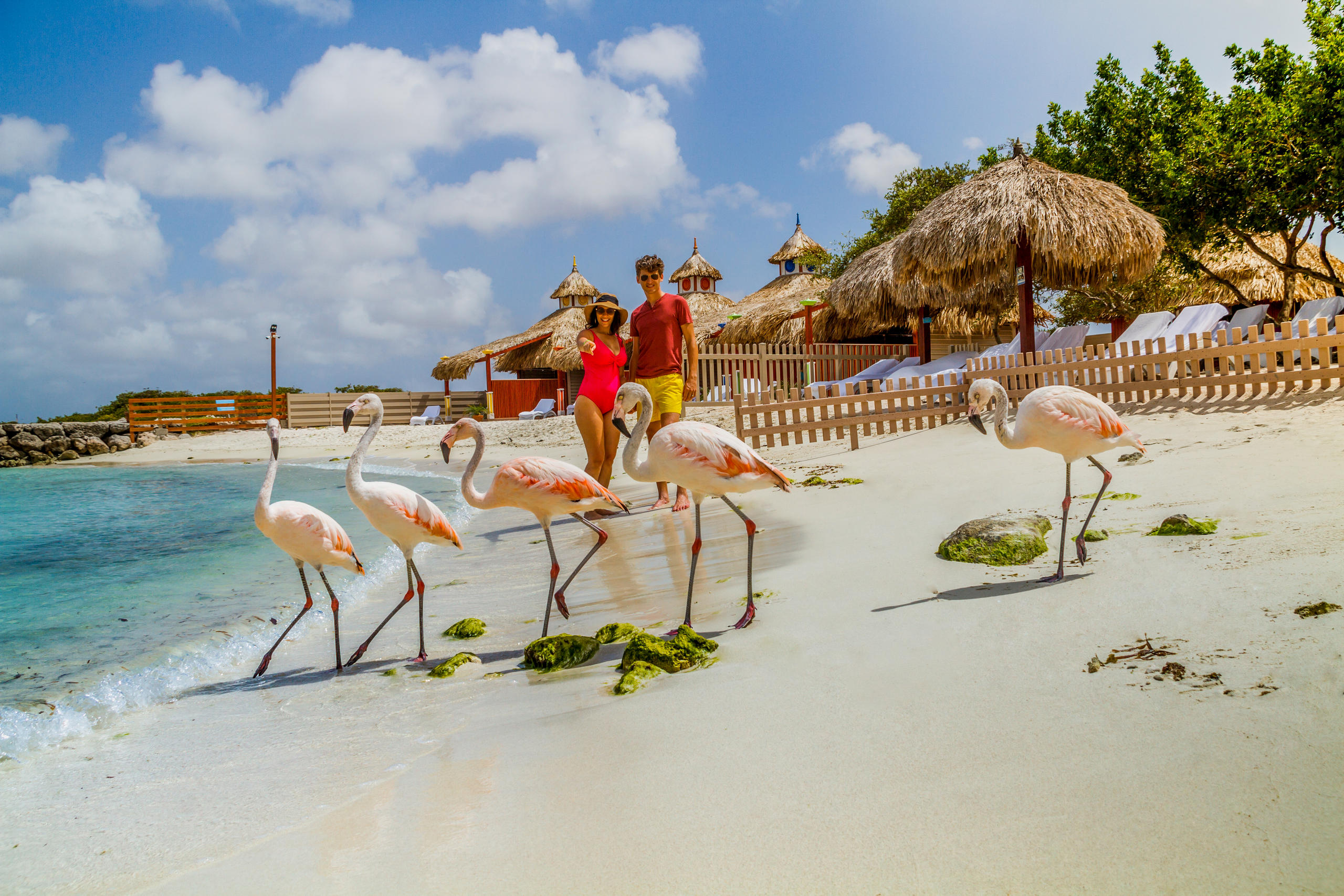 People walking on a beach with flamingos near the shoreline.