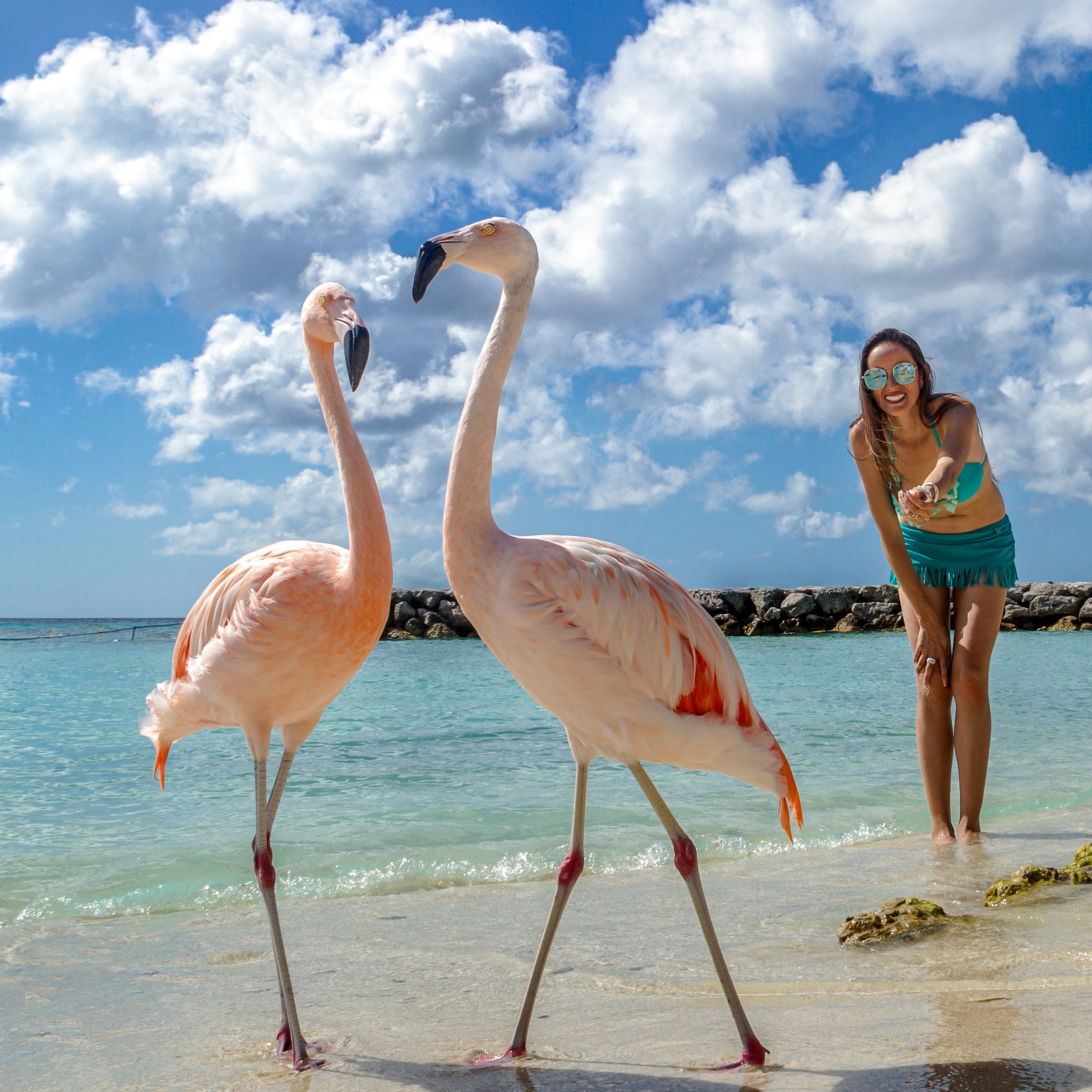 Two flamingos and a person on a tropical beach with blue sky and clouds.