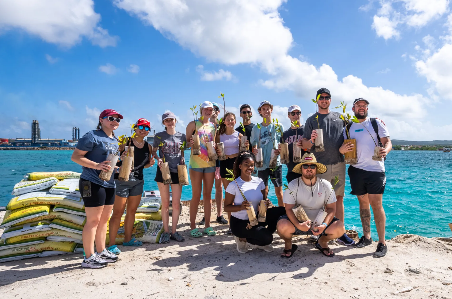 Group of people holding plants, standing on a beach with sandbags and blue ocean in background.