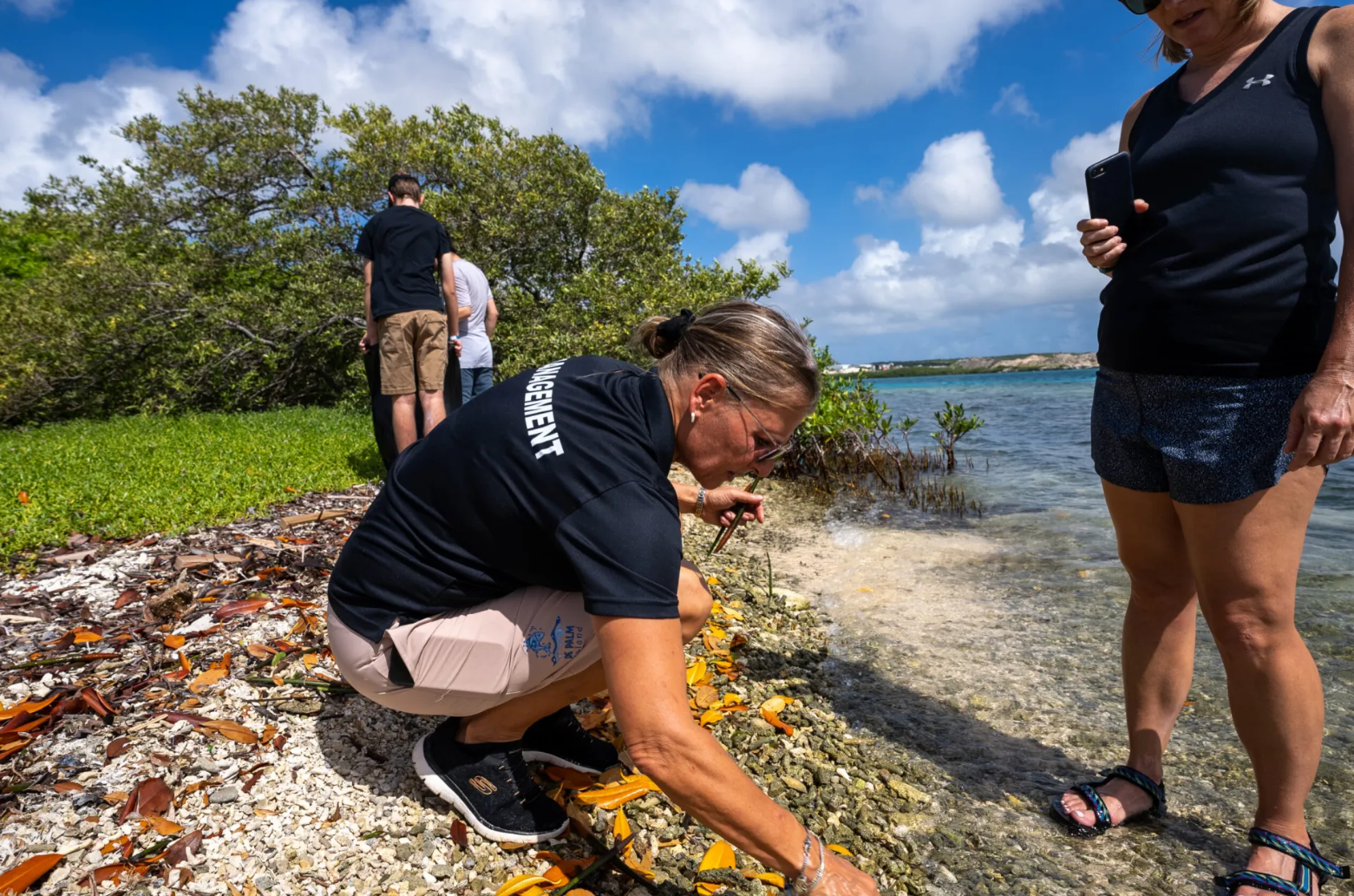 People exploring a rocky shoreline with trees and blue sky in the background.