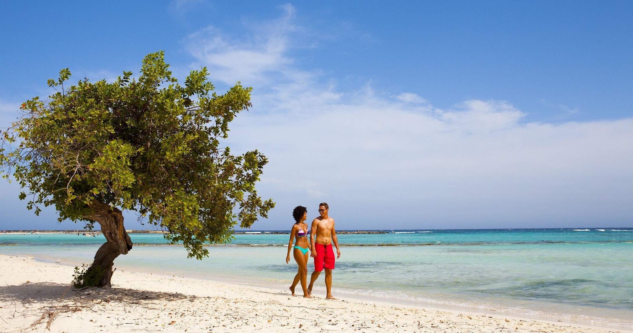A couple walks on a sandy beach near a tree and turquoise ocean under a blue sky.
