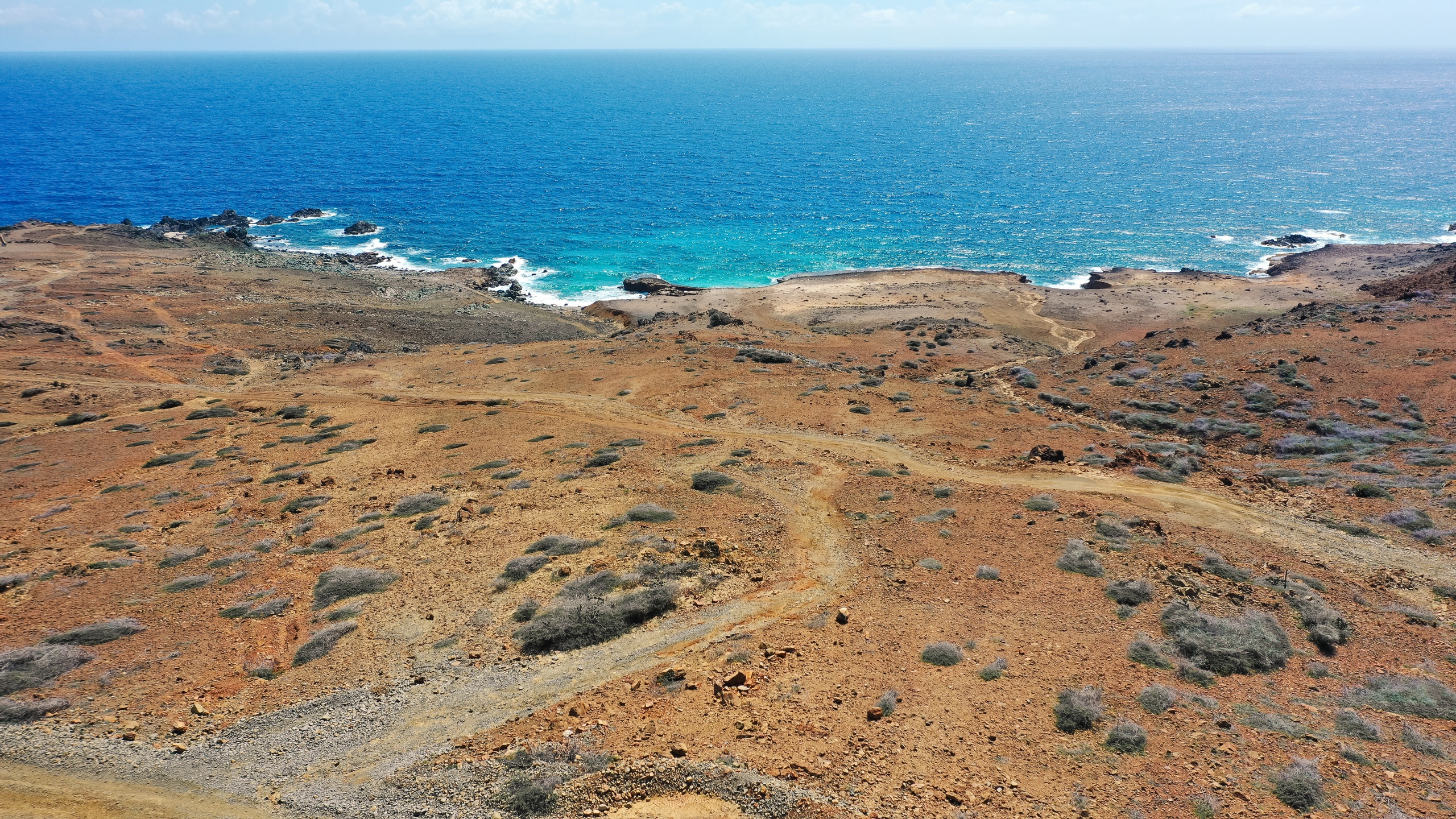 Rocky coastline with sparse vegetation and blue ocean.