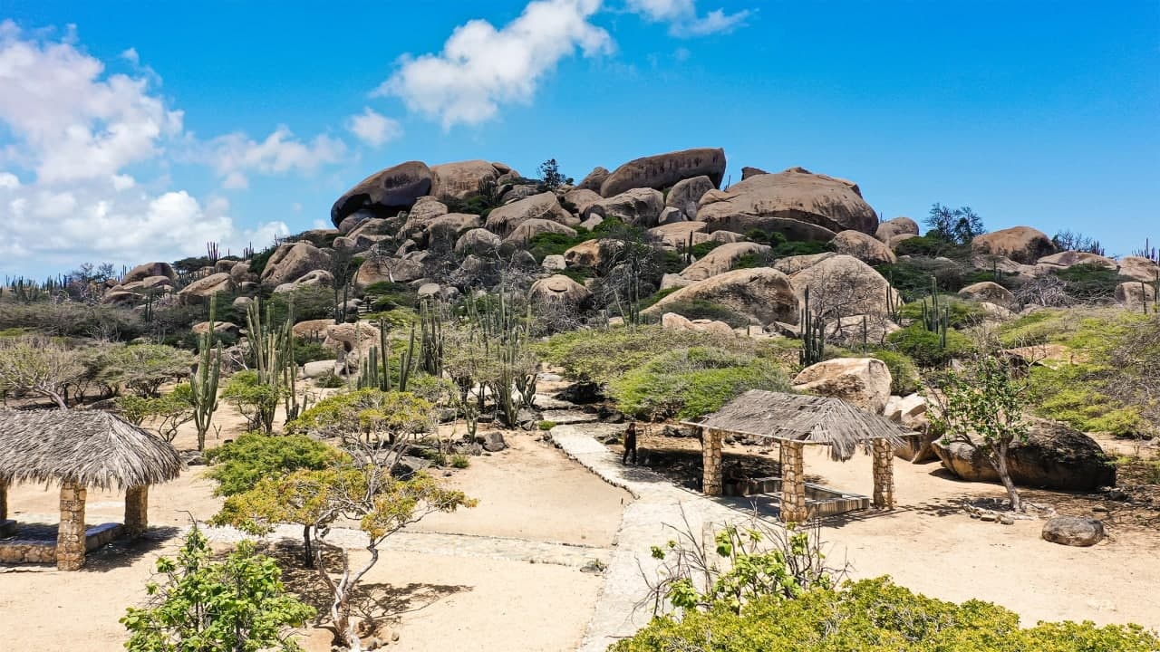 Rocky desert landscape with cacti and thatched shelters under a blue sky.
