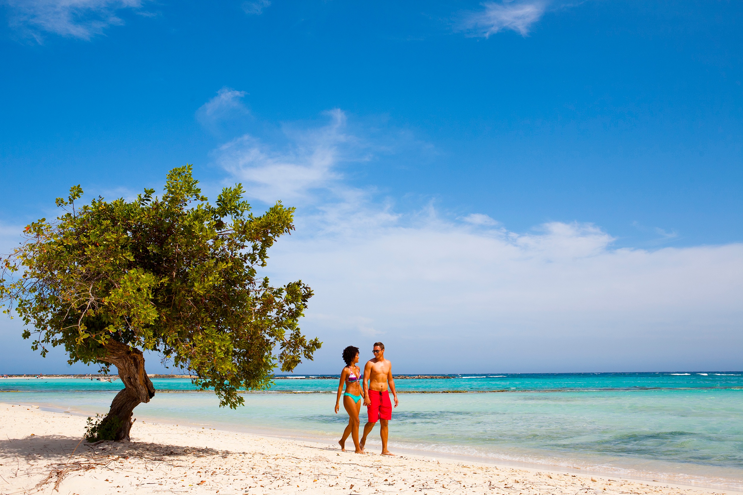 Couple walking on a sandy beach near a tree with blue sea and sky in the background.