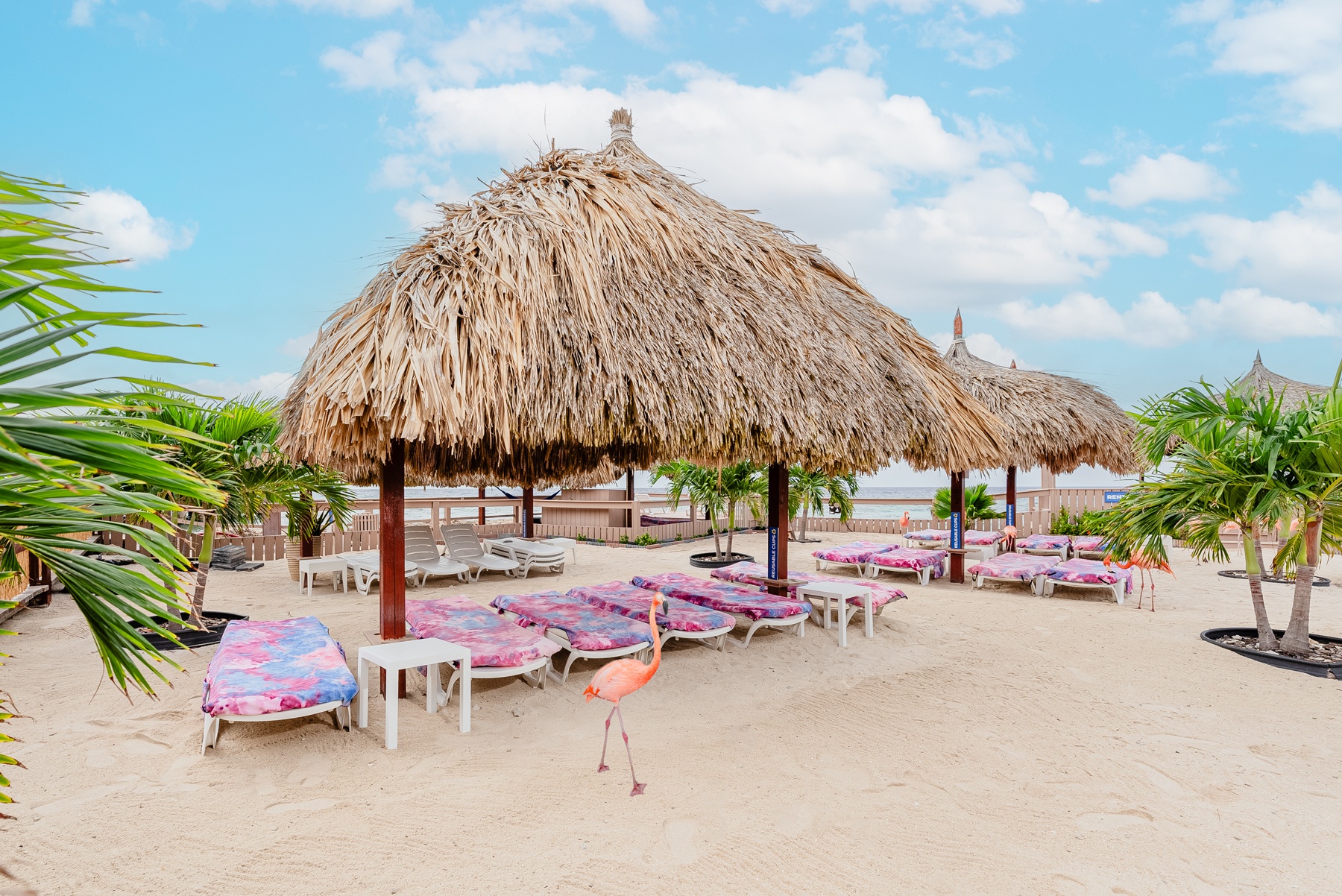 Sandy beach with thatched umbrellas, pink loungers, and a flamingo walking around.