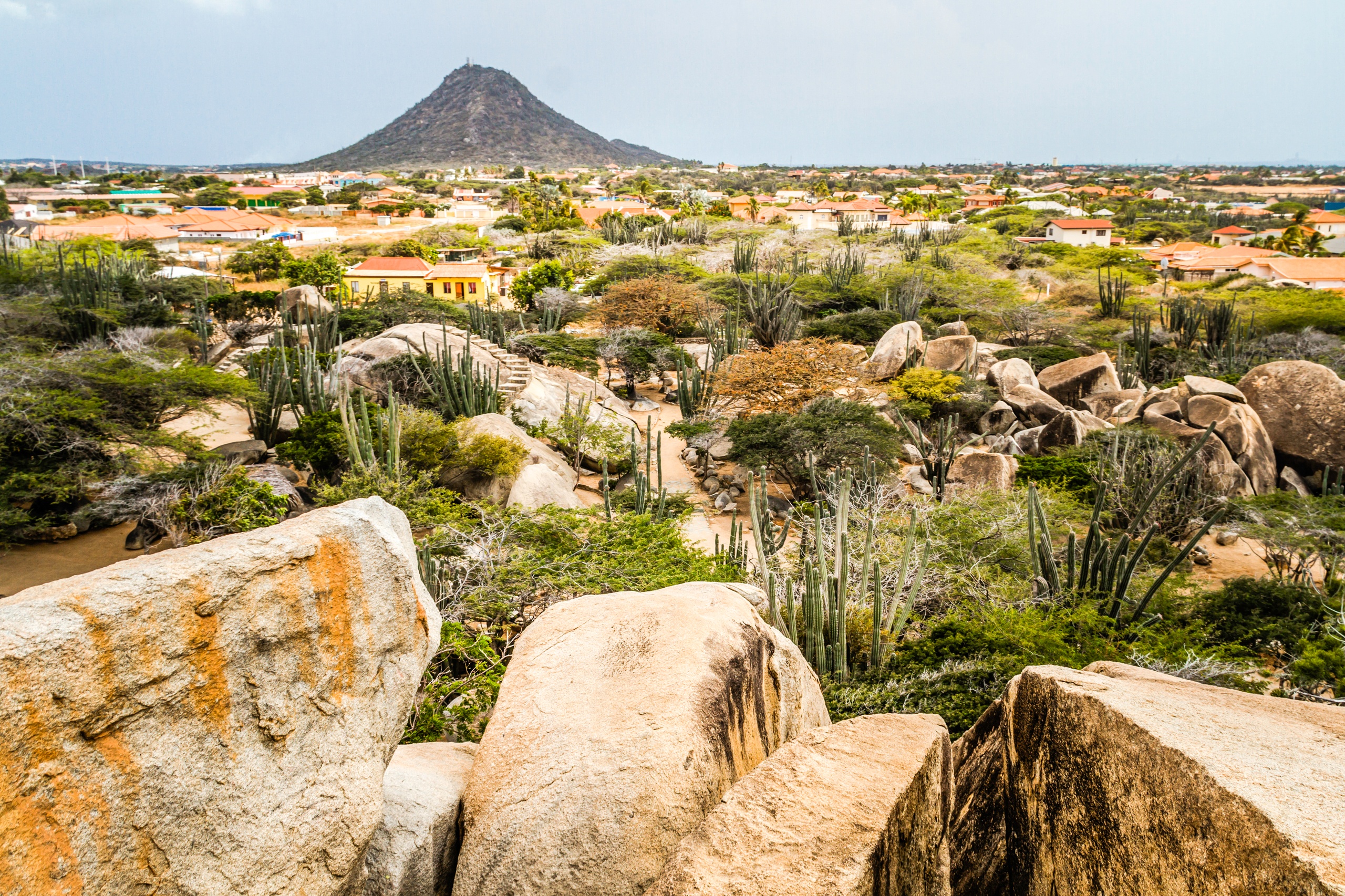 Rocky landscape with scattered vegetation and a distant hill under a clear sky.