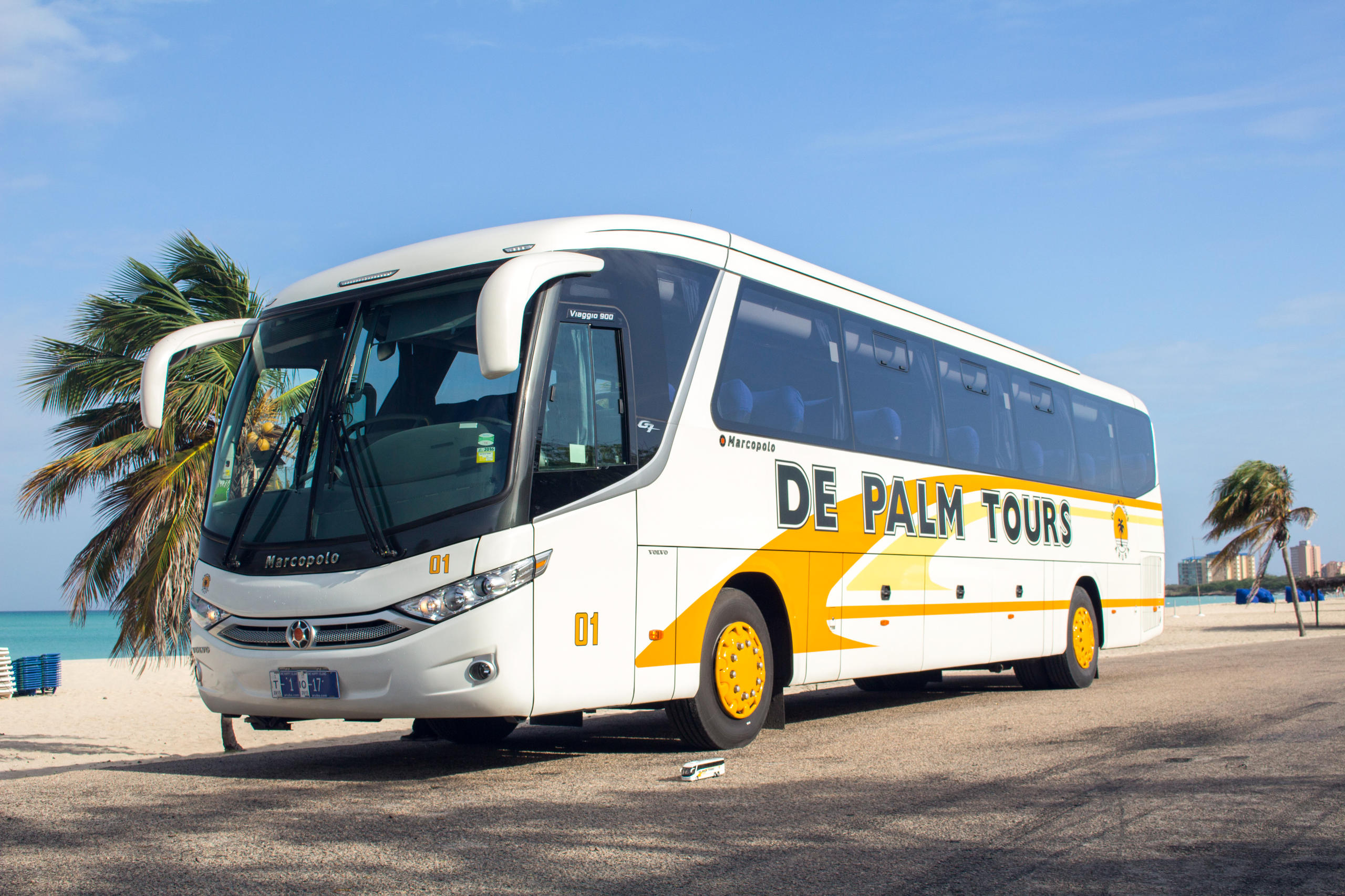 Tour bus parked by beach with palm trees under clear blue sky.