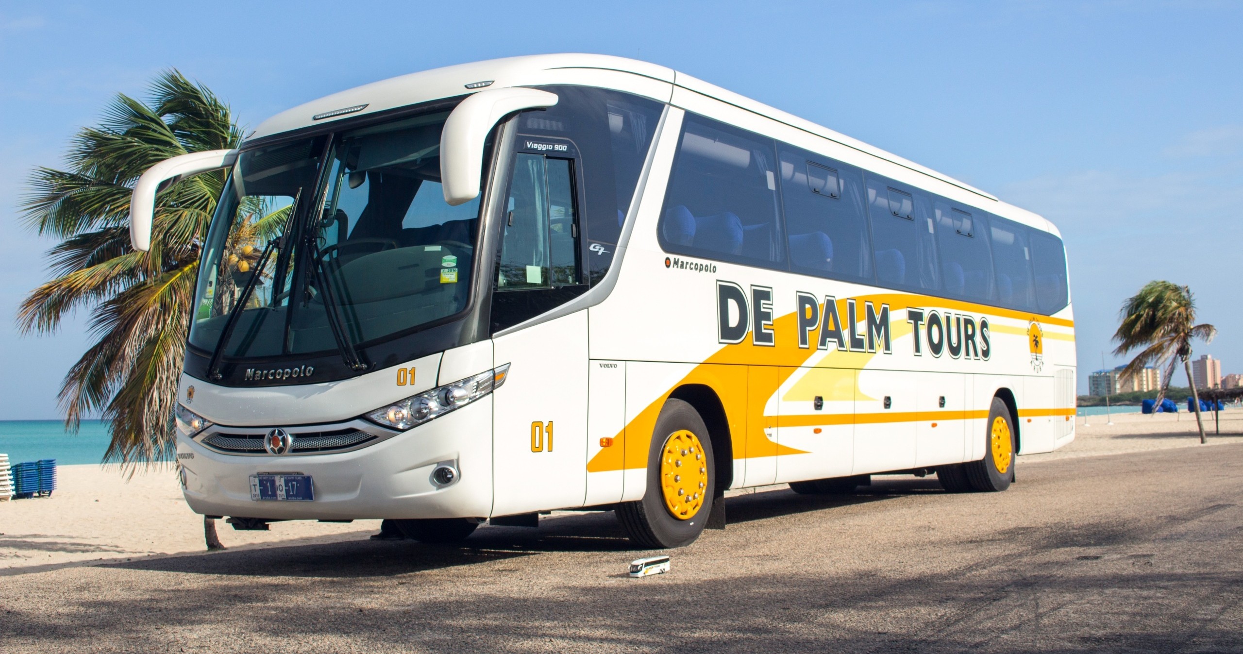 White tour bus parked on a beachside road with palm trees.