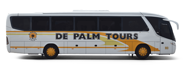 White tour bus with 'De Palm Tours' and yellow accents on the side.