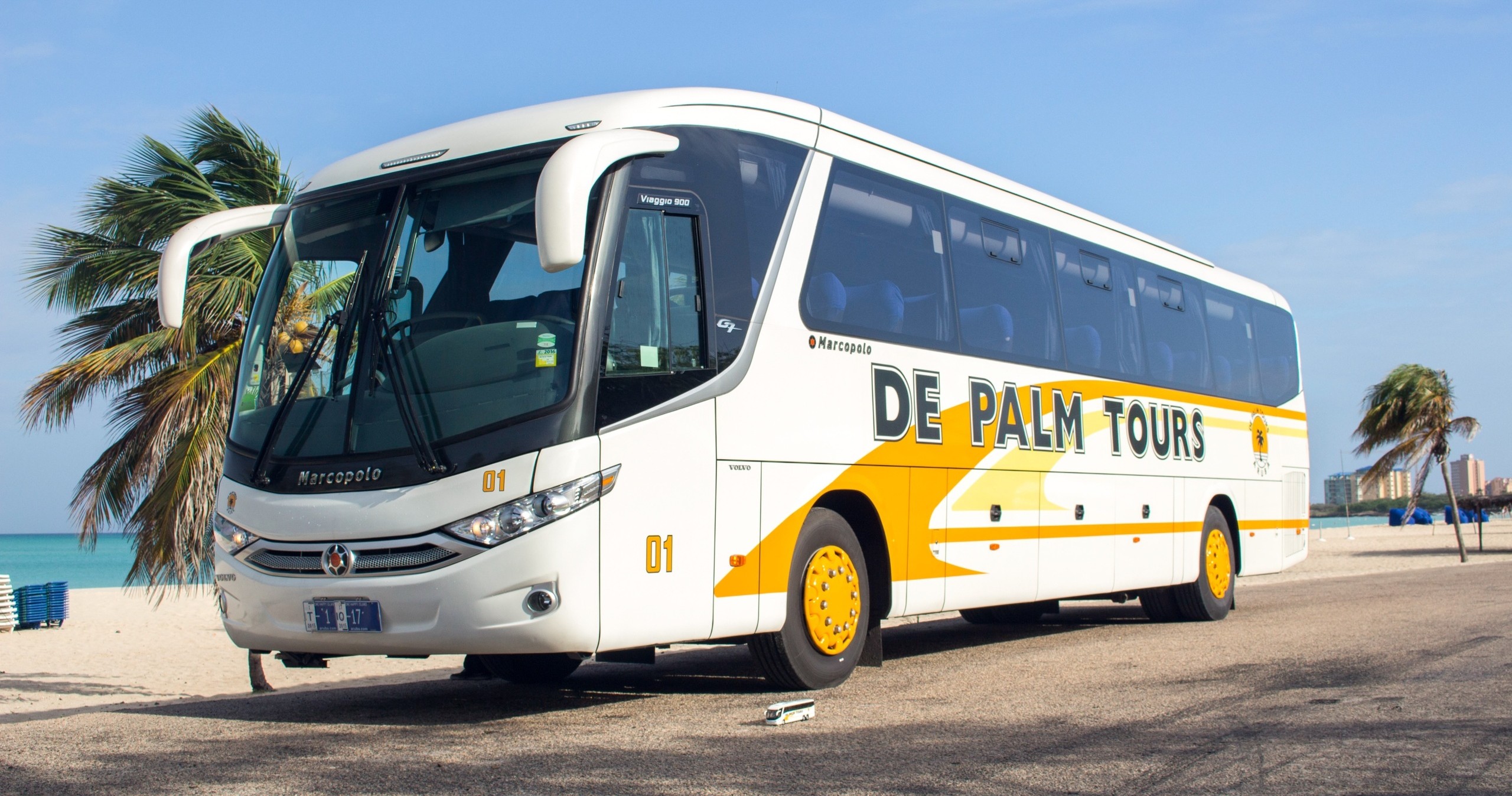Tour bus parked on a beachside road with palm trees.