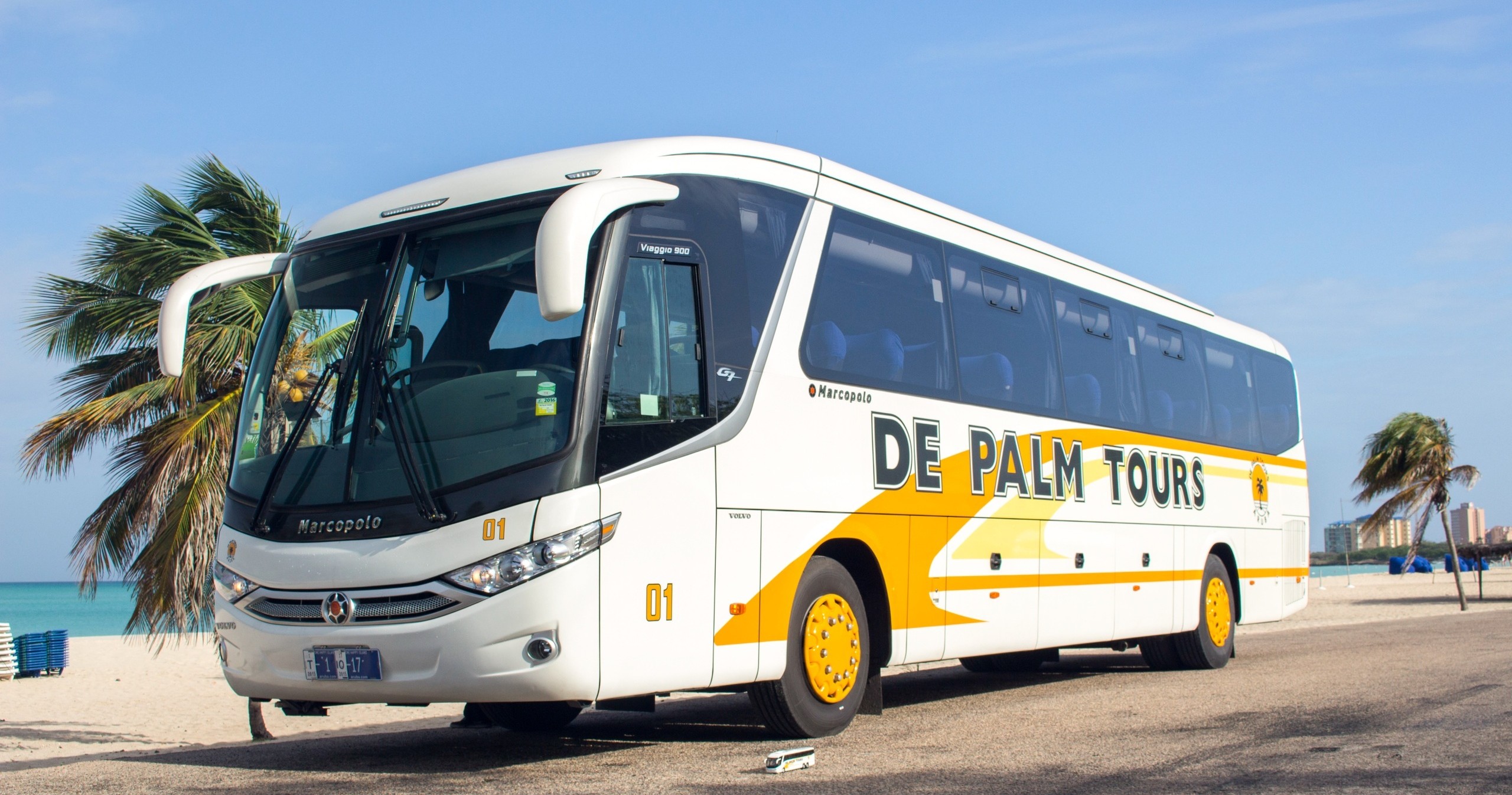 Tour bus parked on a beach road with palm trees.