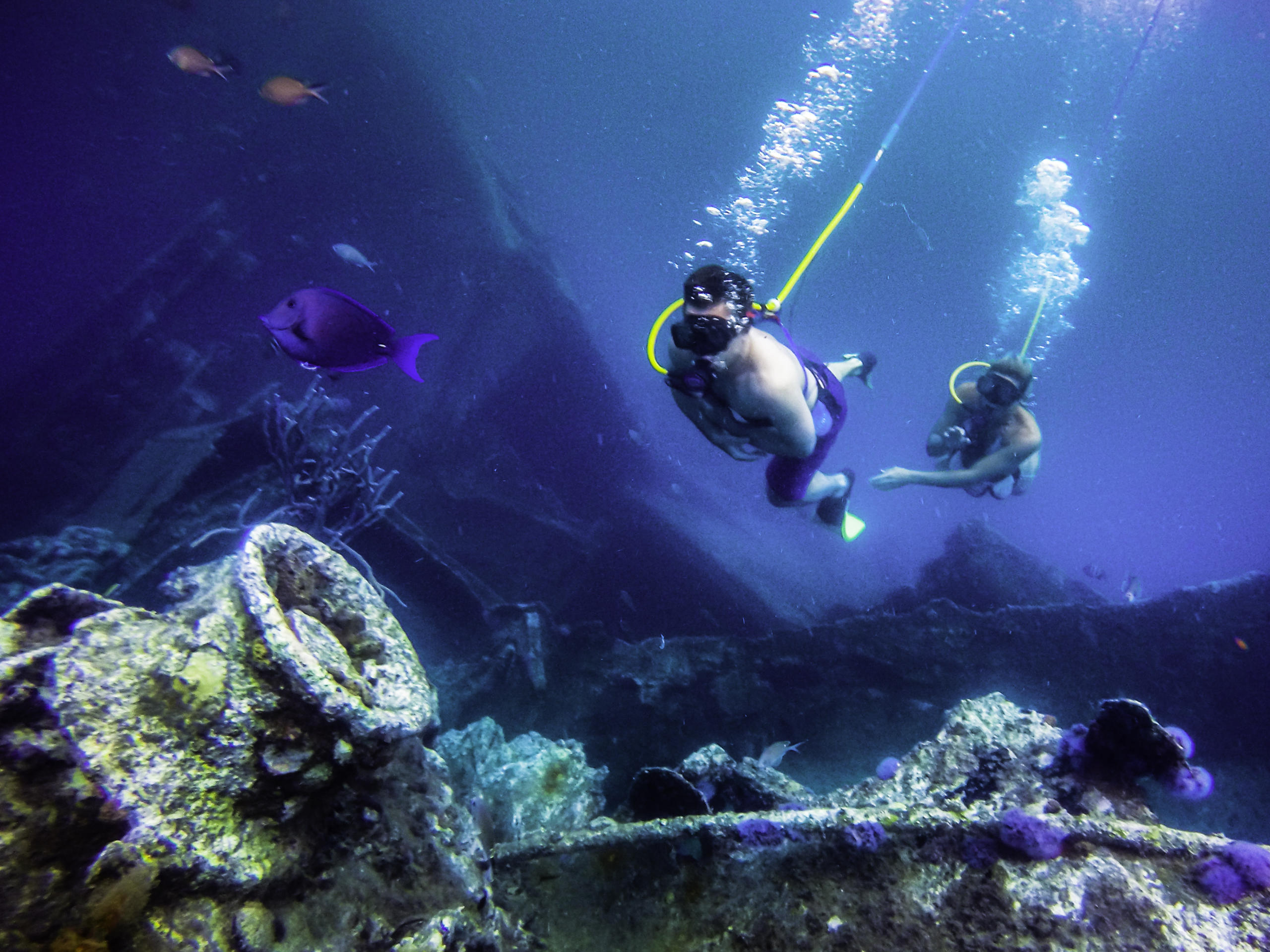 Two divers exploring a shipwreck underwater with fish swimming nearby.