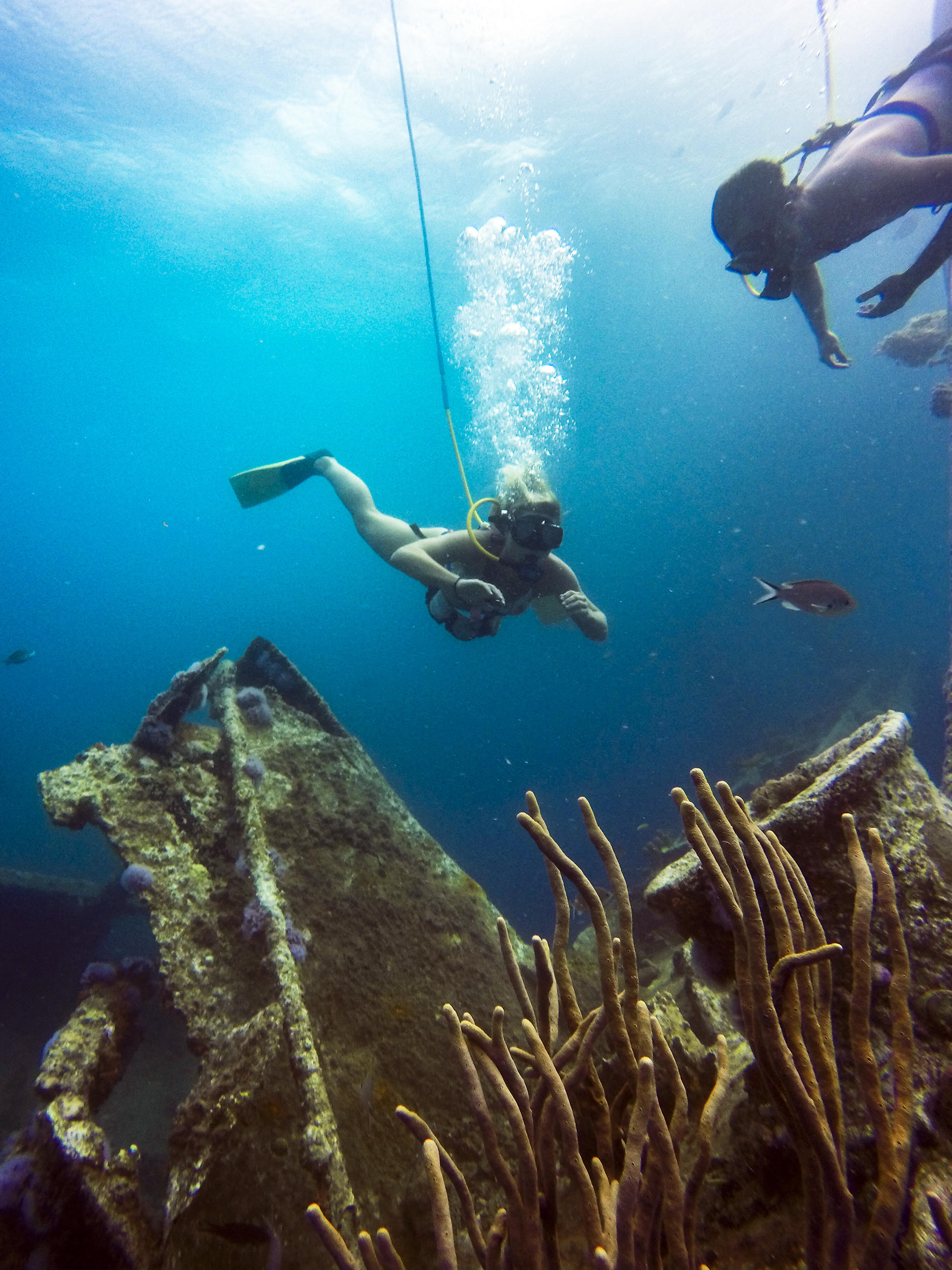 Two divers exploring an underwater shipwreck with coral and fish.