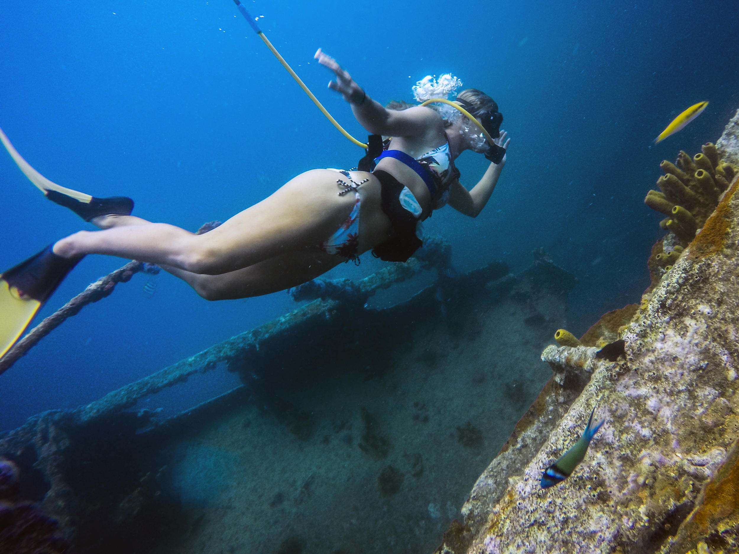 Person snorkeling underwater near a shipwreck, with colorful fish and corals around.