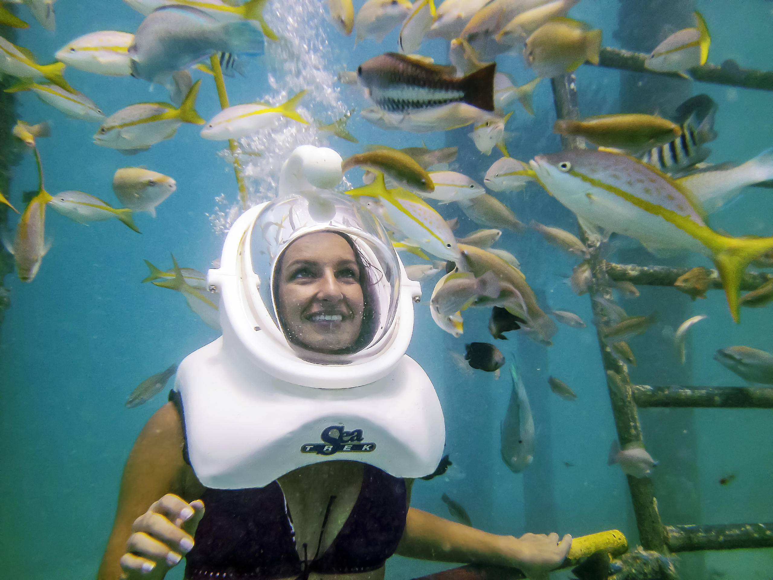 Person wearing a diving helmet underwater, surrounded by colorful fish.