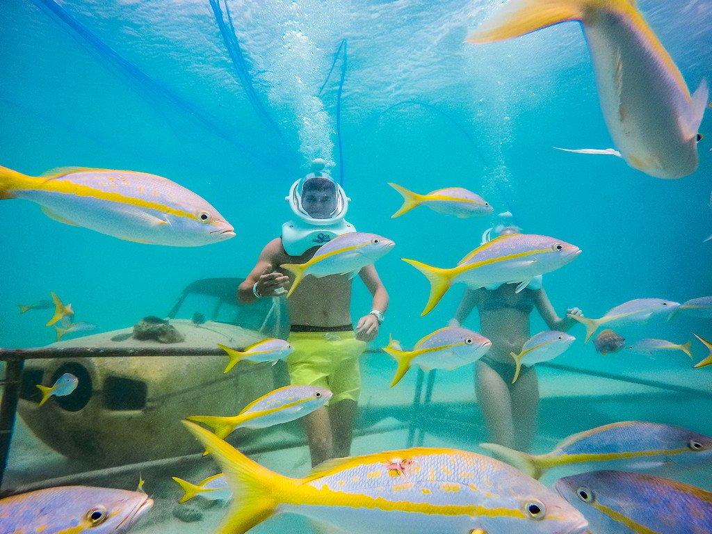 Two people underwater wearing helmets, surrounded by yellow fish.