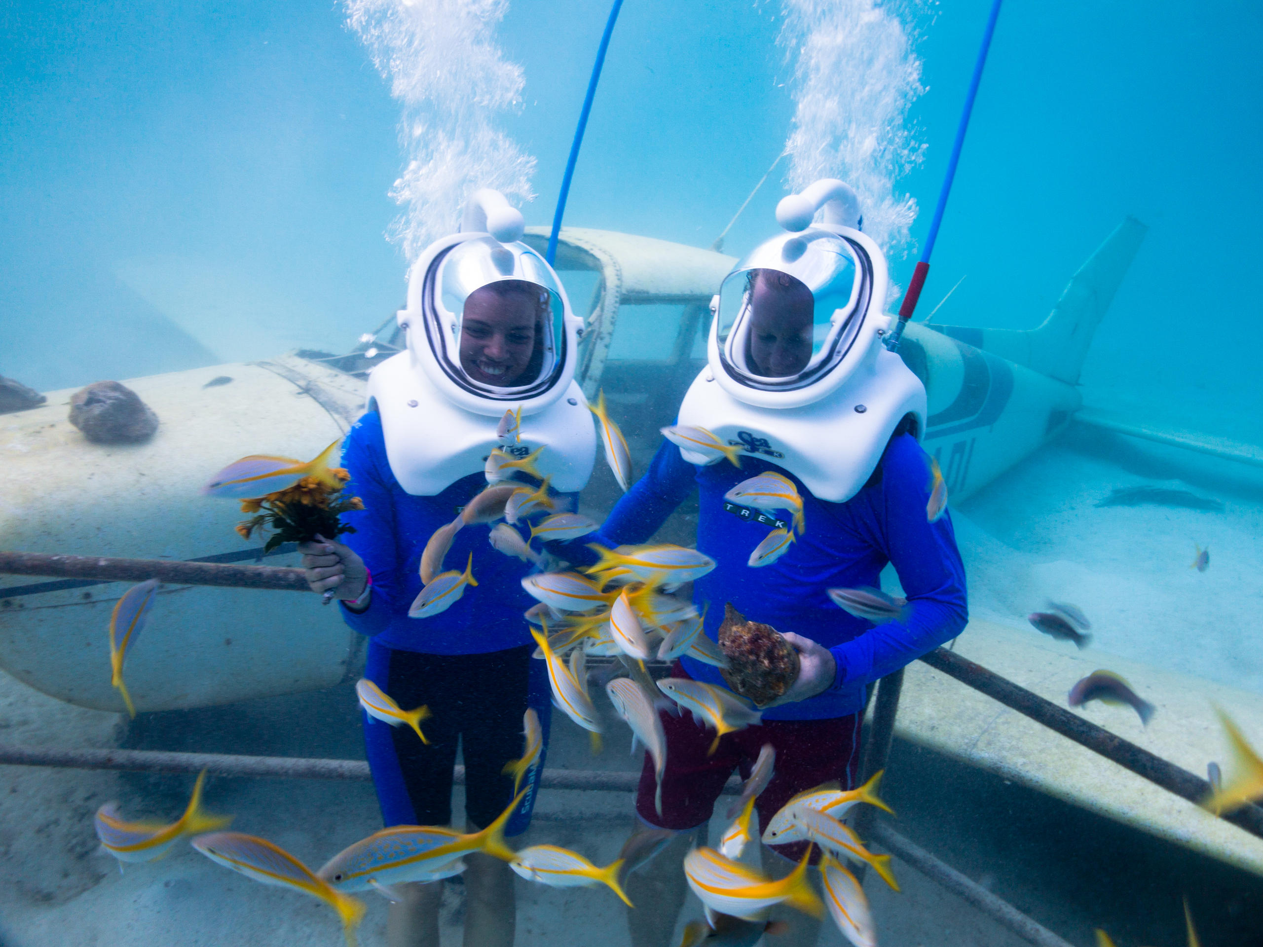 Two people in helmets underwater with fish and a sunken plane.