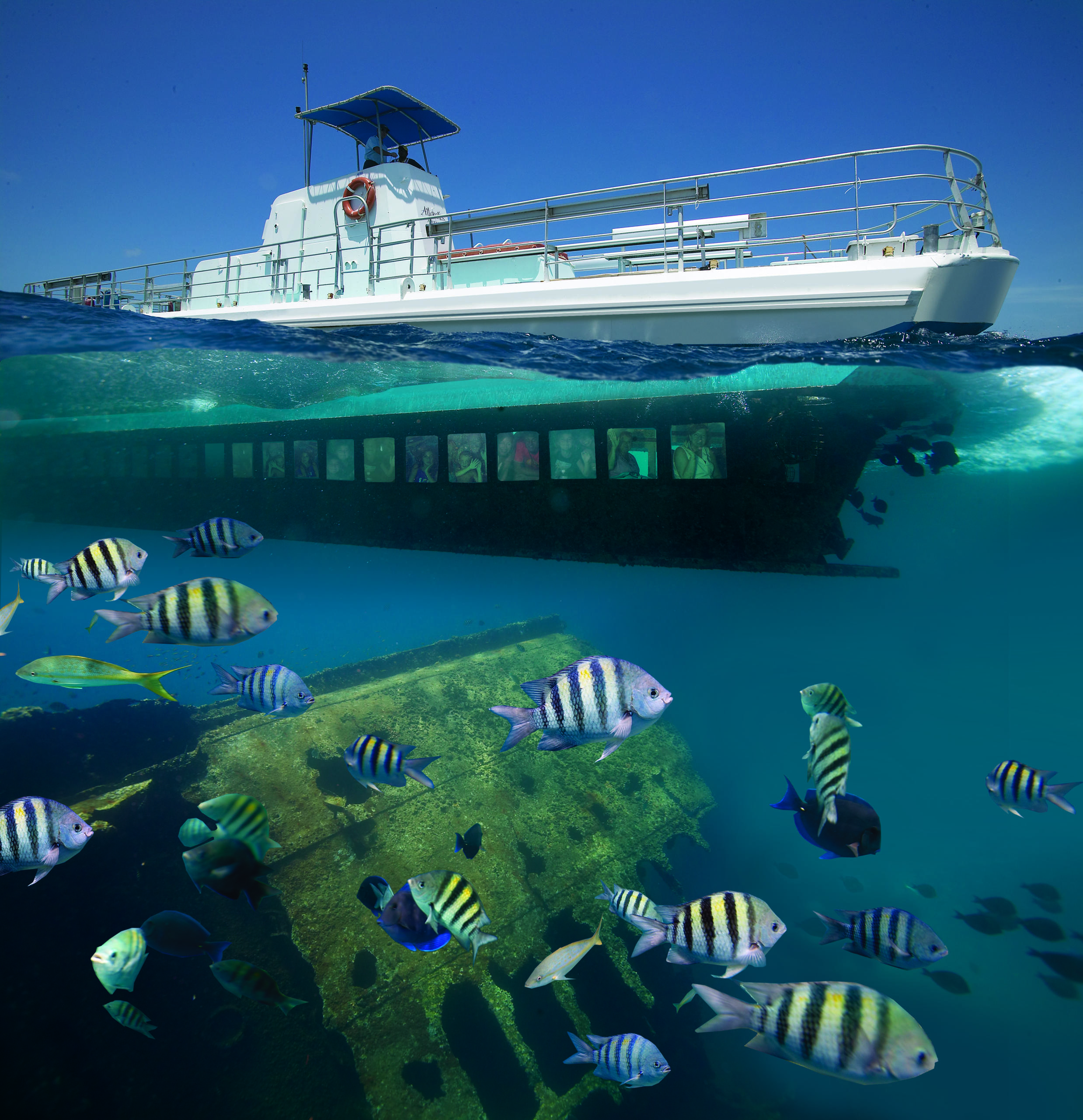 Half-submerged boat with visible underwater viewing area, colorful fish, and submerged wreckage below.