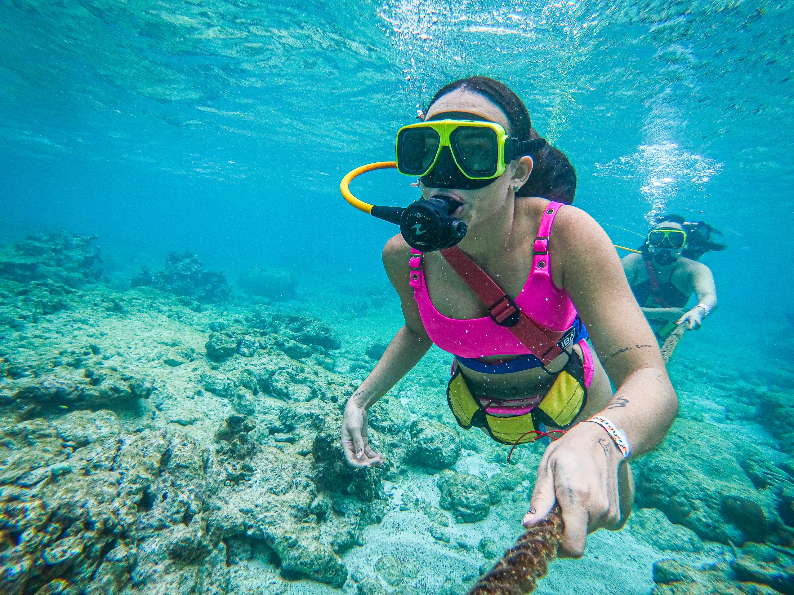 Two people scuba diving in clear blue water near coral.