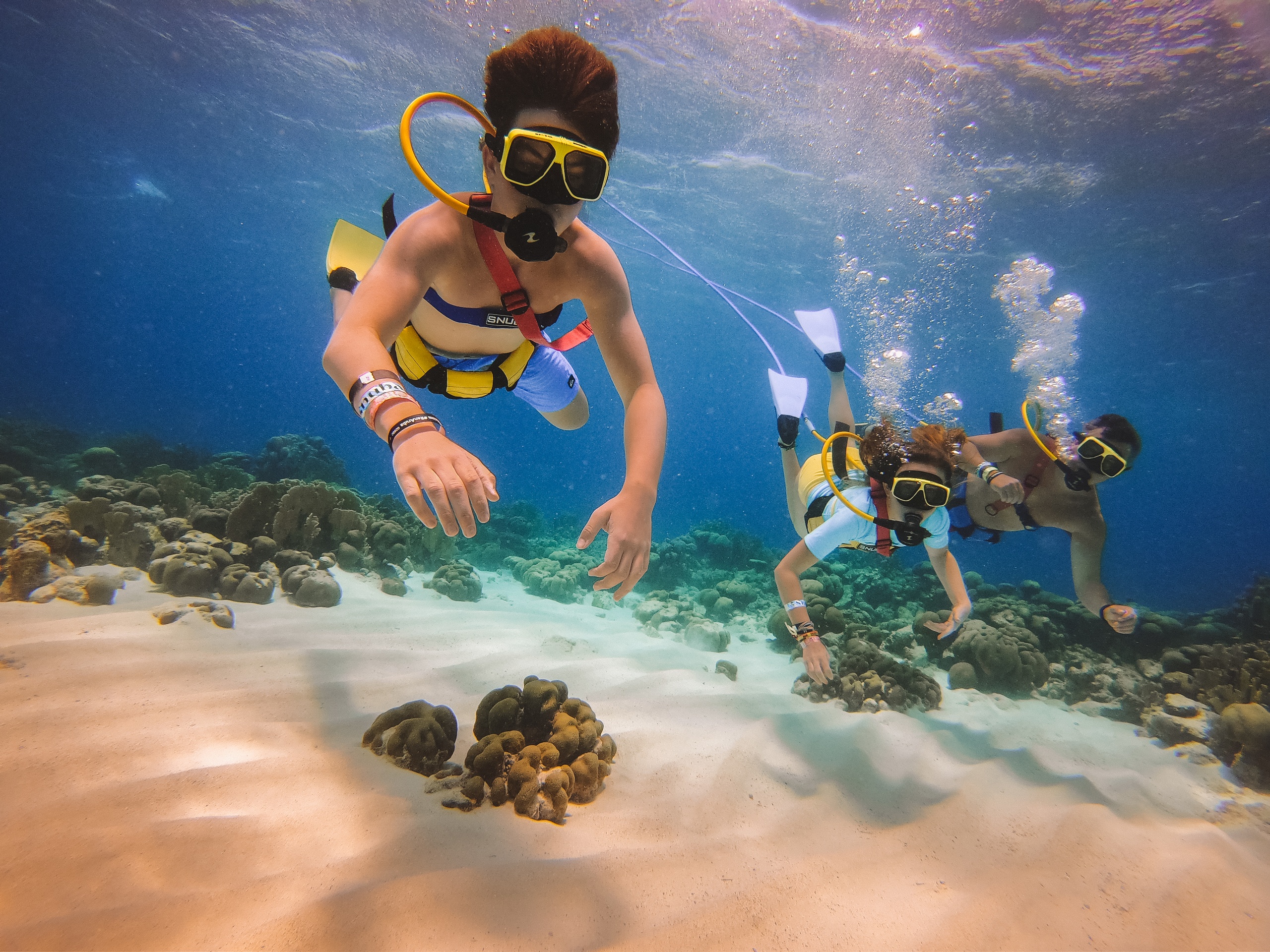 Three people snorkeling underwater over coral and sand in clear blue water.