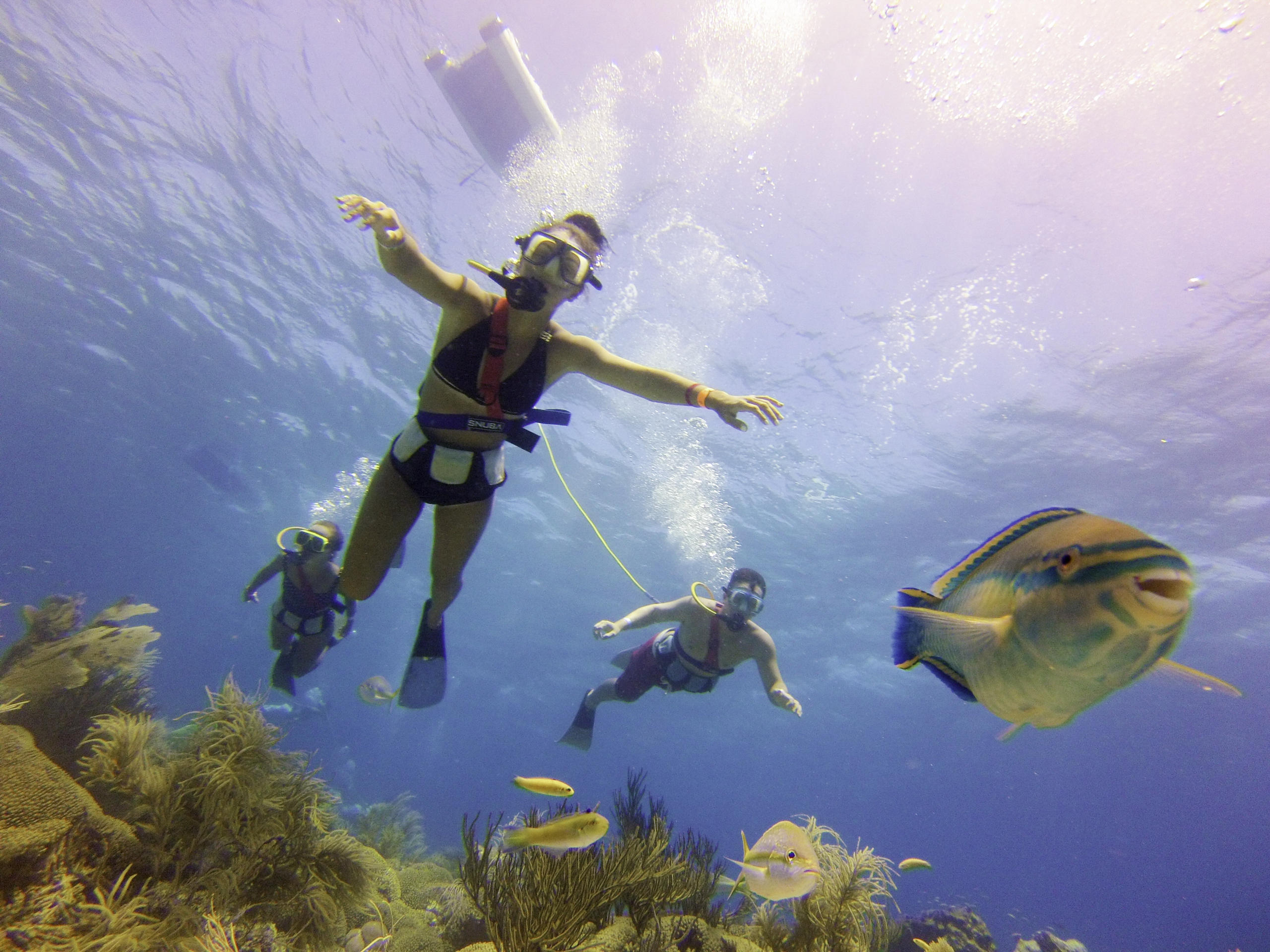 Three snorkelers swimming over coral with fish underwater.