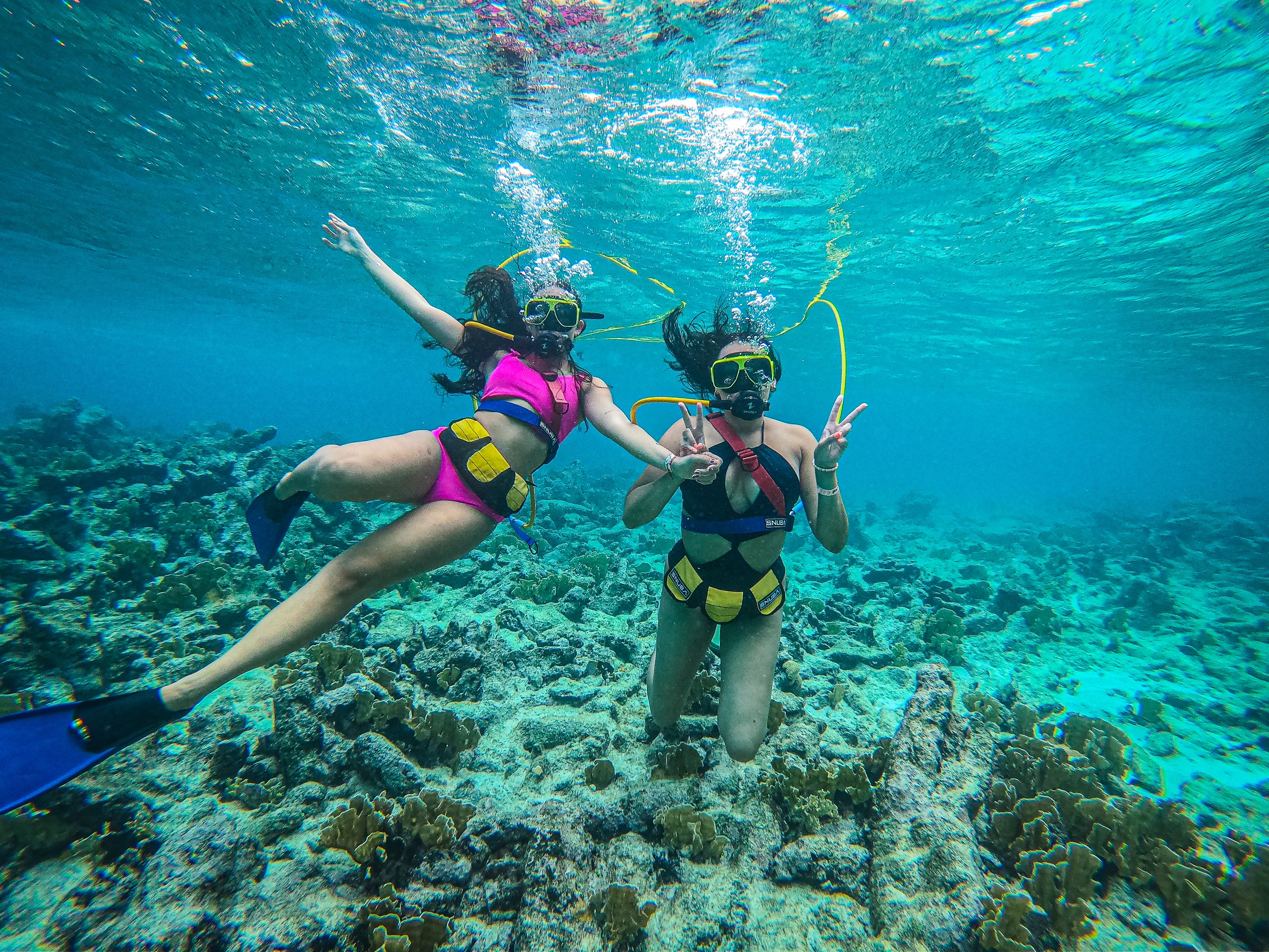 Two people snorkeling underwater, surrounded by coral.