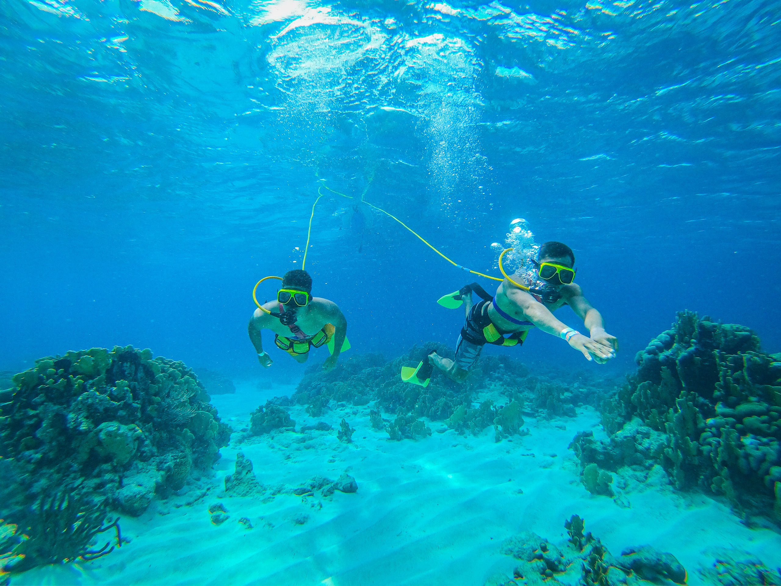 Two people snorkeling underwater near coral reefs with clear blue water.