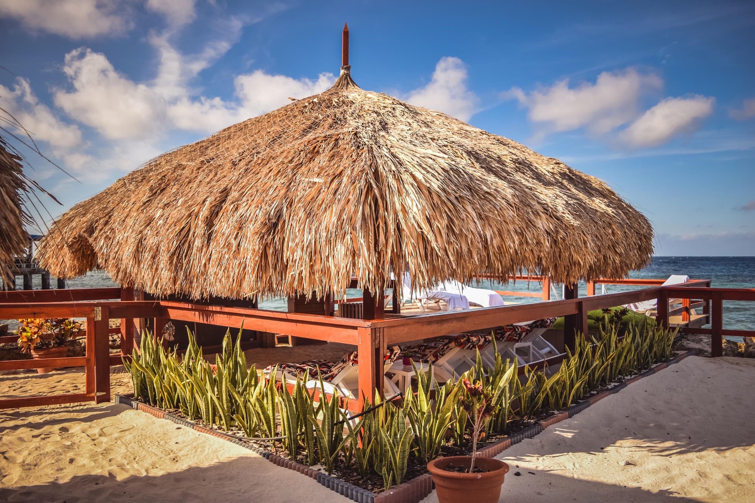 Tropical beach hut with a thatched roof, surrounded by sand and plants, near the ocean.