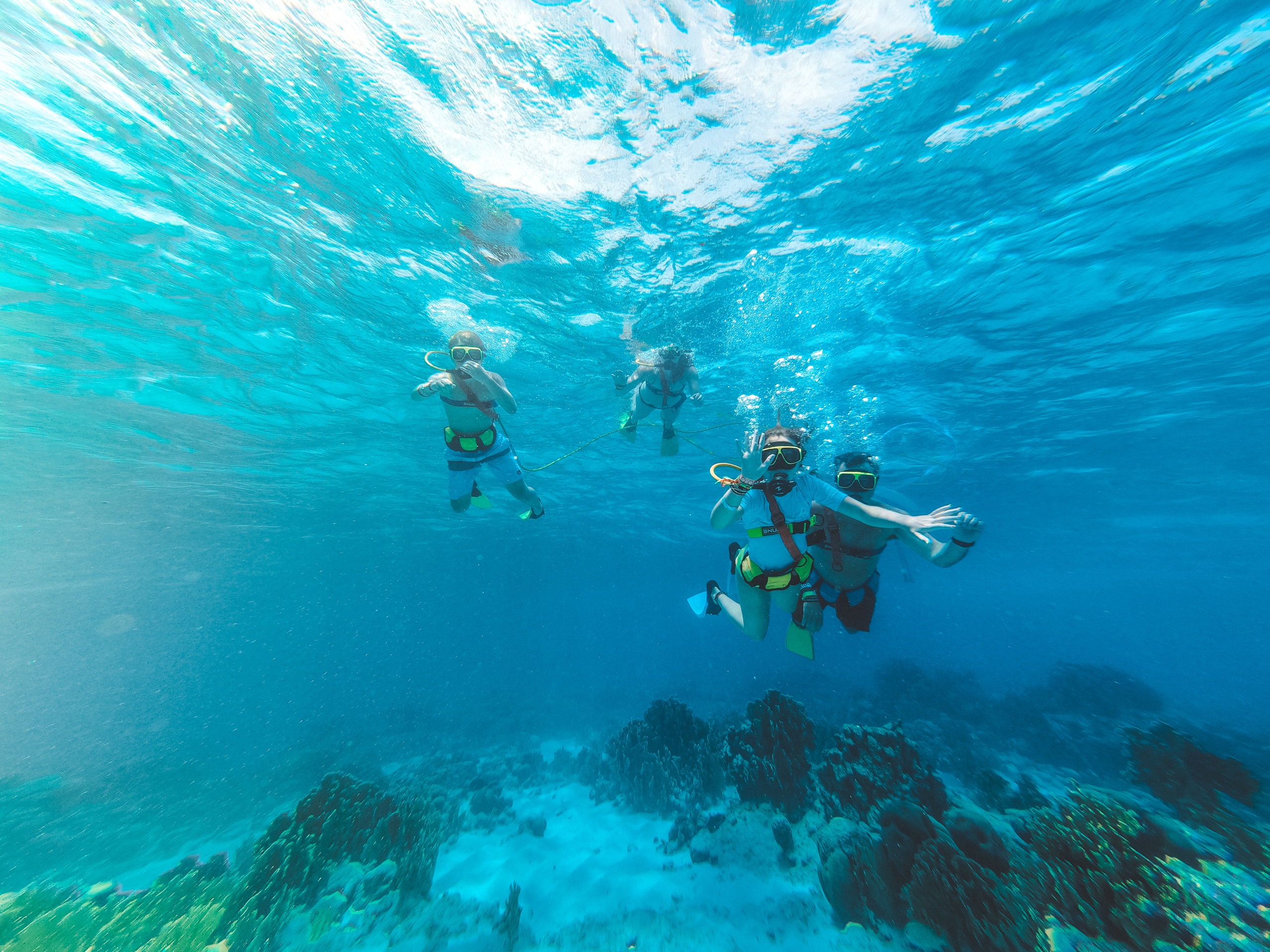 Group snorkeling in clear blue water above coral reef.