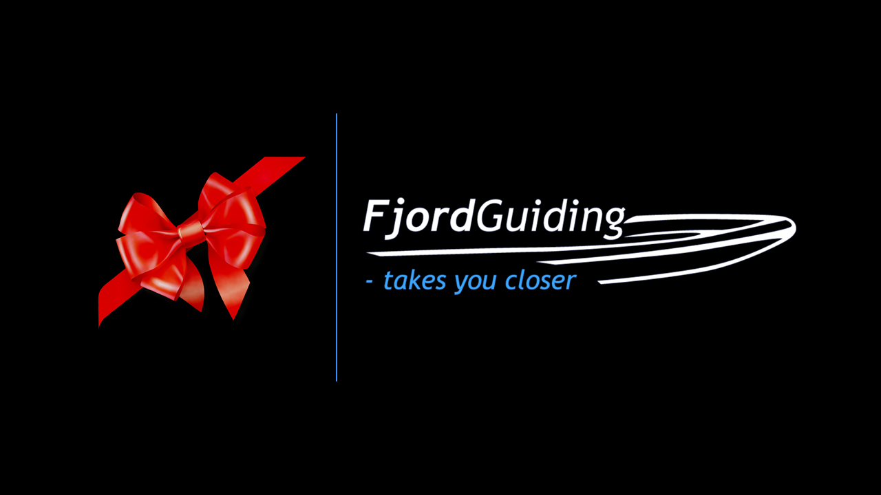 Red ribbon with FjordGuiding logo and tagline on black background.