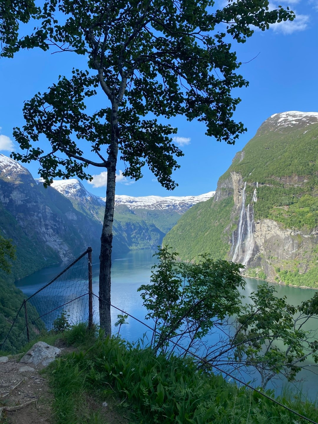 Scenic fjord view with a waterfall, tree, and mountains under a blue sky.